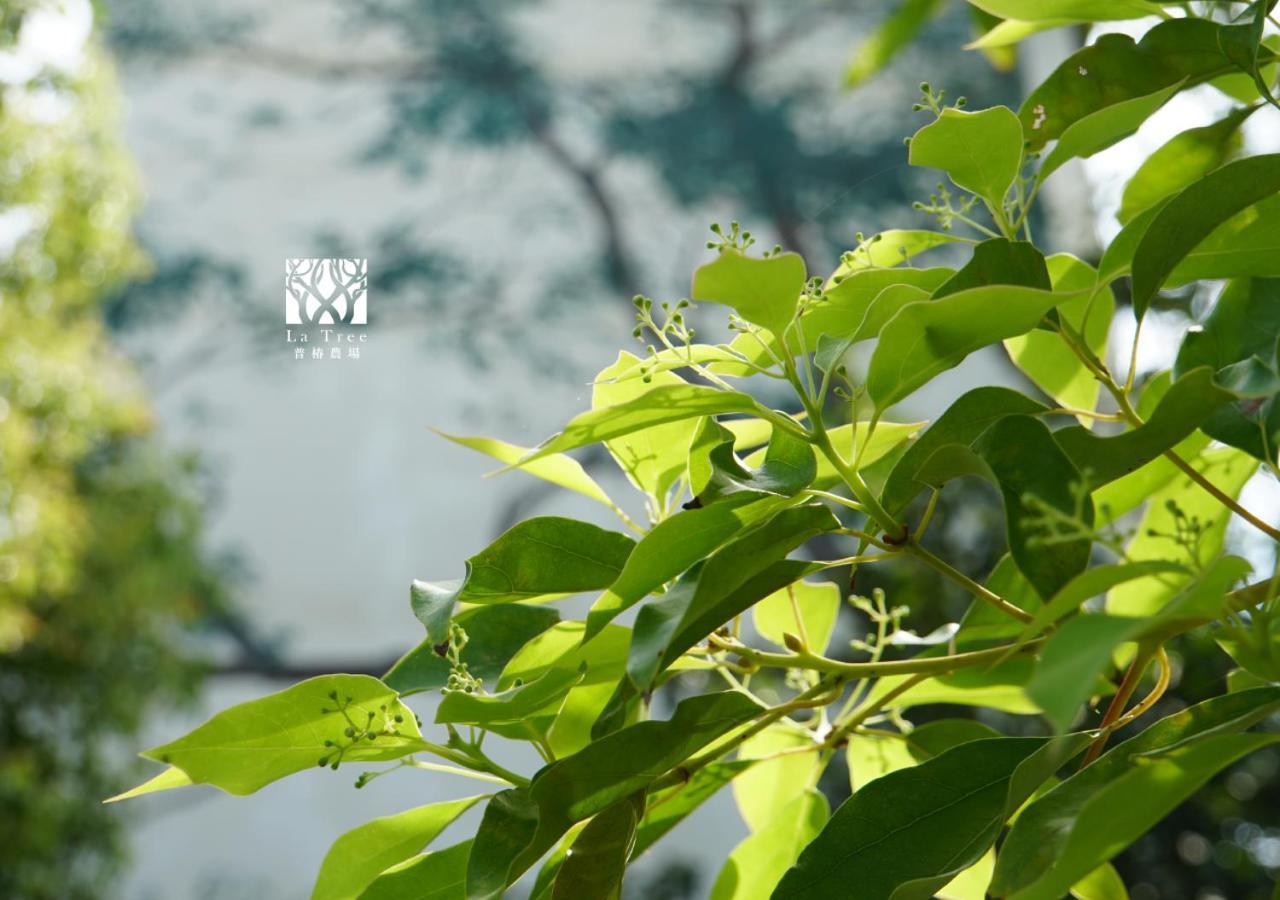 La Tree 普椿農場木子莊園 Apartment Donghe Exterior photo